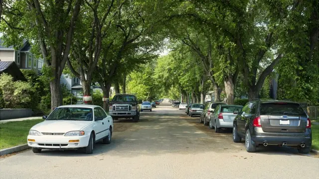 Fila de carros estacionados.