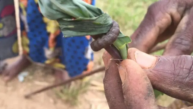 Umurimyi afite kamwe muri utwo dukoko