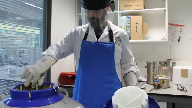 Cryopreservation క్రయోప్రిజర్వేషన్