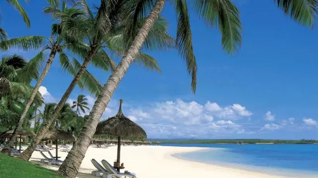 加勒比海的尼维斯岛