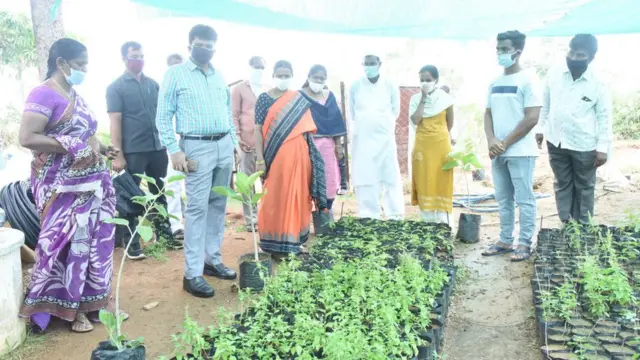 హరిత హారం