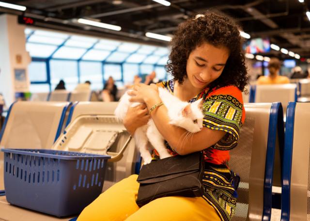 Mulher com gato no colo em cadeira em sala de embarque
