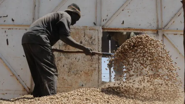 પ્રતીકાત્મક તસવીર