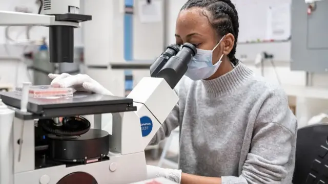 પ્રતીકાત્મક તસવીર