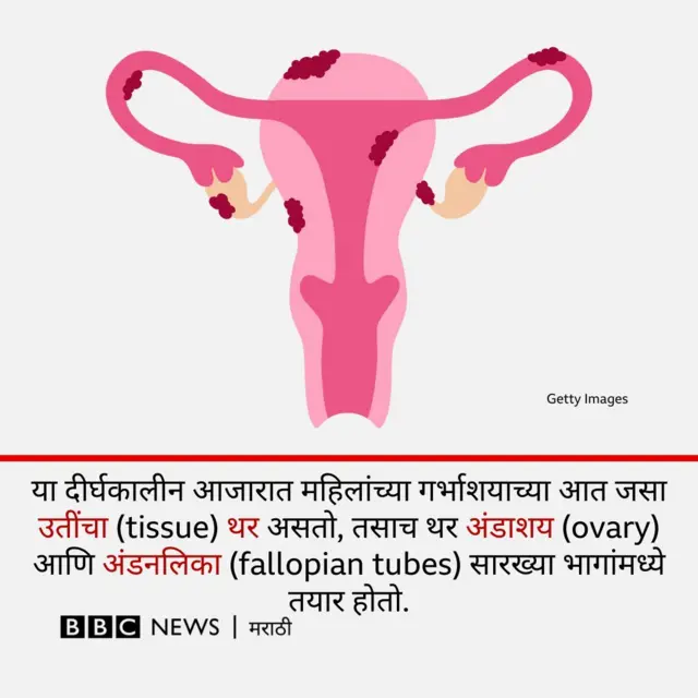 ग्राफिक्स