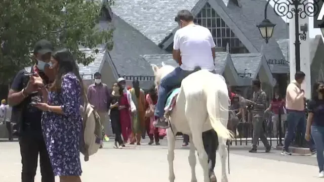 ਘੋੜਾ
