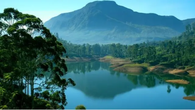 Árvores e montanha formam ambiente relaxante