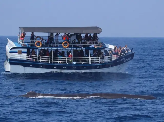 Asha De Vos/Facebook