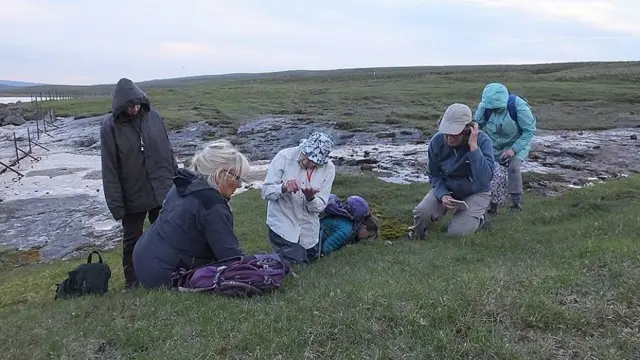 Bradshaw arrodillada en el pasto dialoga y enseña sobre flores silvestres a botánicas y voluntarias de la Sociedad de Flores Silvestres británica, Wild Flower Society, también agachadas en la hierba.