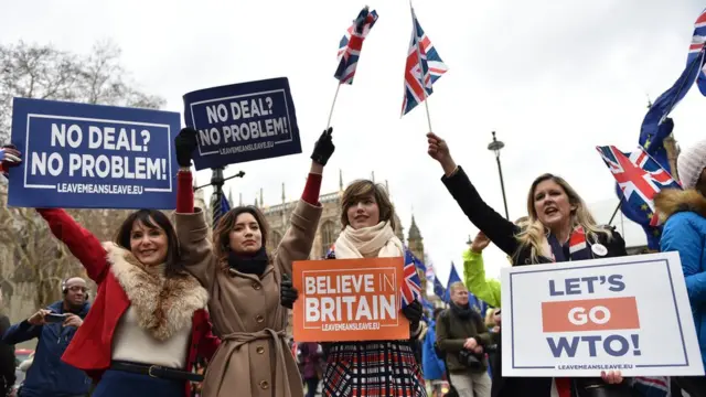 هواداران برگزیت