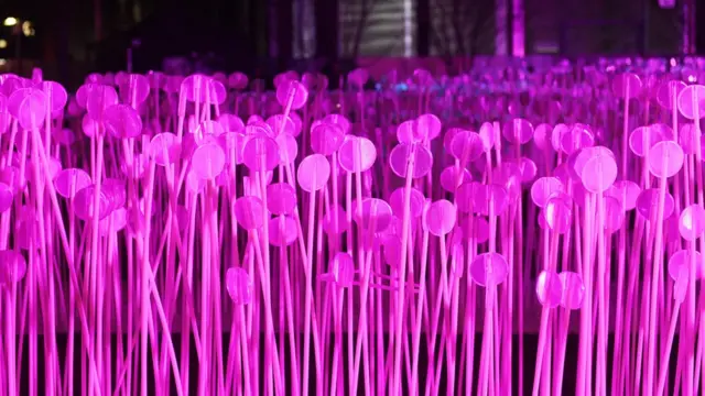 светящаяся трава