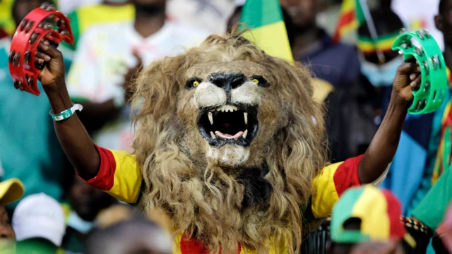Un footballeur sénégalais déguisé en lion à Yaoundé, au Cameroun - Mercredi 2 février 2022