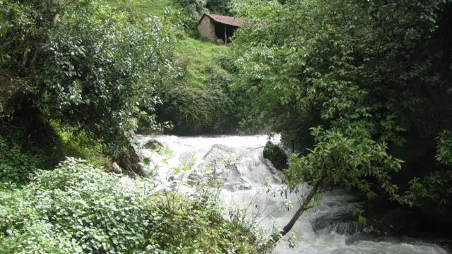 शिवपुरी निकुञ्जभित्र एक खोला