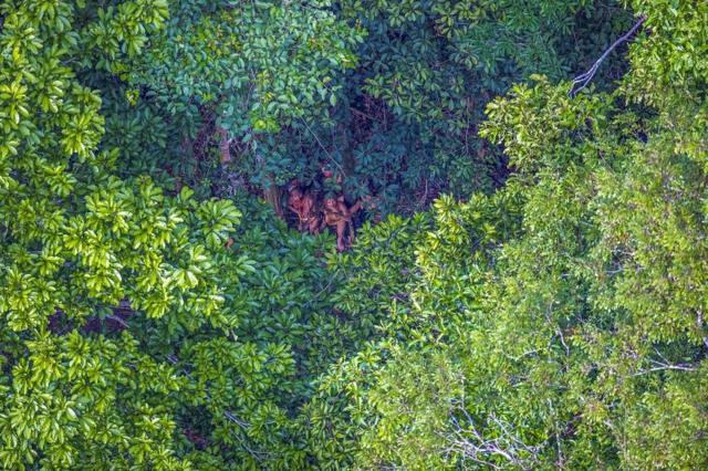 Grupoh2bet penaltyindígenas registrado