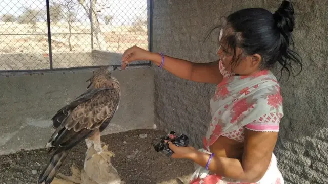 सर्पराज्ञी