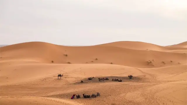 Dunas no Sahara