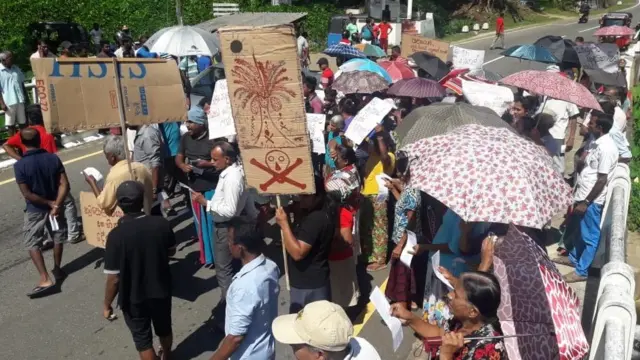 முள் தேங்காய்