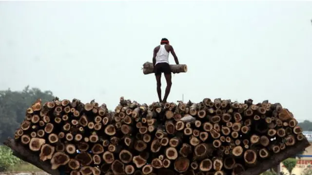 తరలిస్తున్న కలప