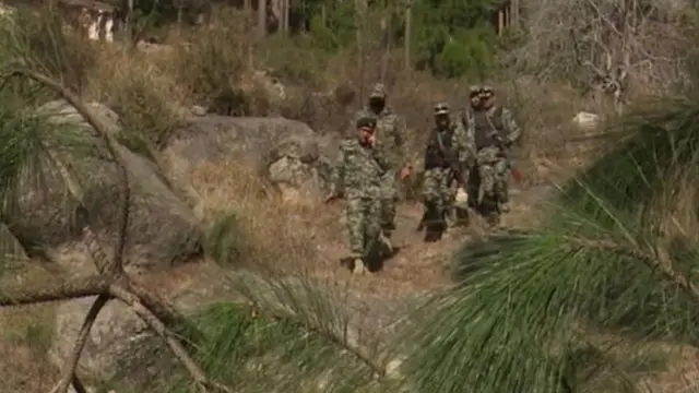 जब्बाचं जंगल