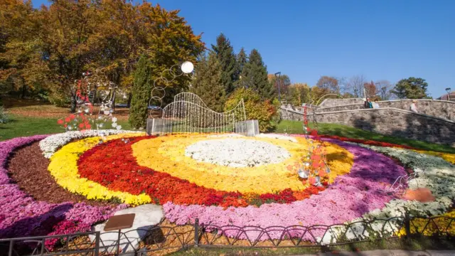 Виставка квітів