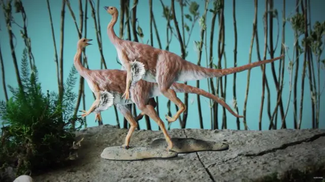 BBC Earth Unplugged