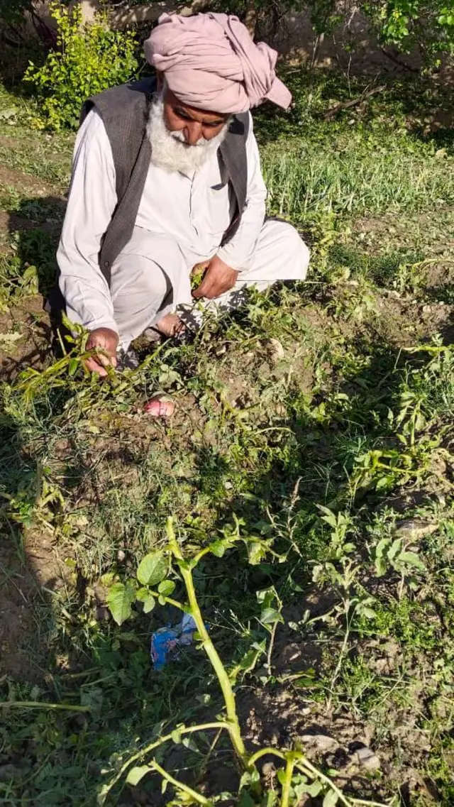 ژالہ باری