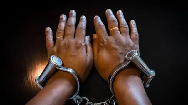 '5 மணிநேரம் குளத்துக்கு அடியில் தாமரைத் தண்டு மூலம் சுவாசித்தேன்' - திருடன் சிக்கியது எப்படி?  