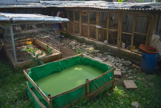 Lahan pertanian milik Dewi