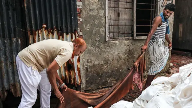 কোরবানির চামড়া সংগ্রহ করছেন ব্যবসায়ীরা