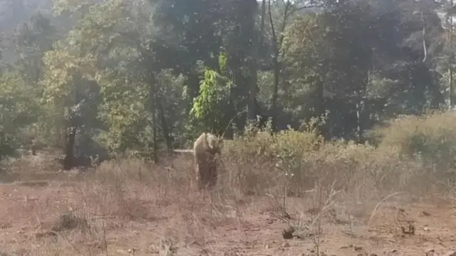 અનલ દત્ત, ઝારખંડ, નક્સલવાદીનું મોત, અમિત શાહ, એક કરોડનું ઇનામ, બીબીસી ગુજરાતી