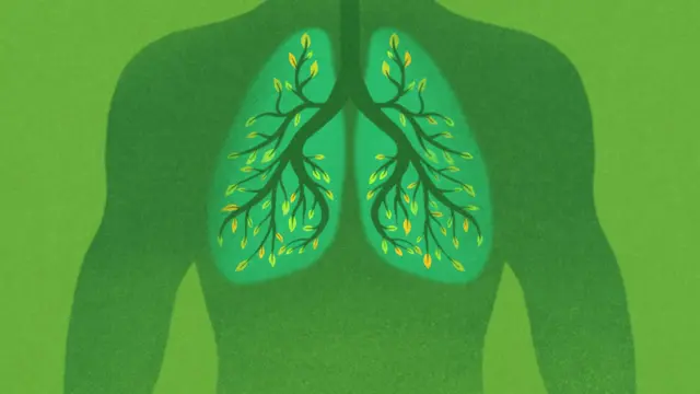 Ilustración de pulmones verdes llenos de plantas.