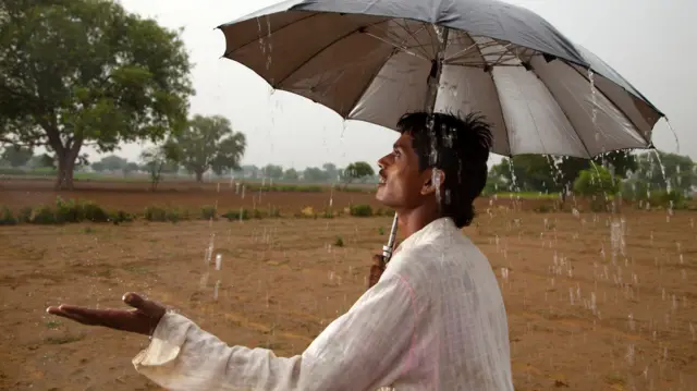 प्रातिनिधिक फोटो