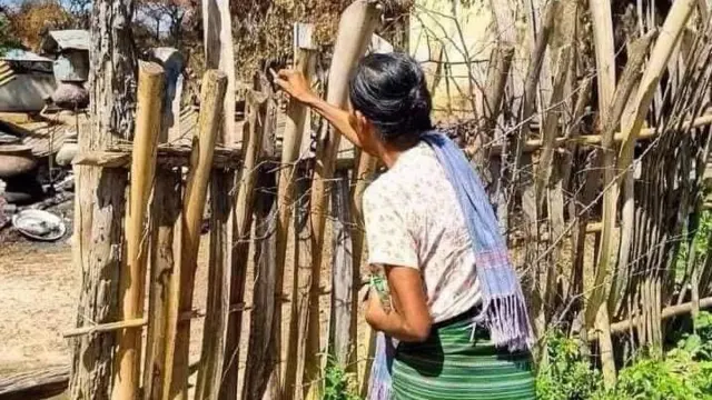 ဘုတလင်စီပါရွာလူသတ်မှု