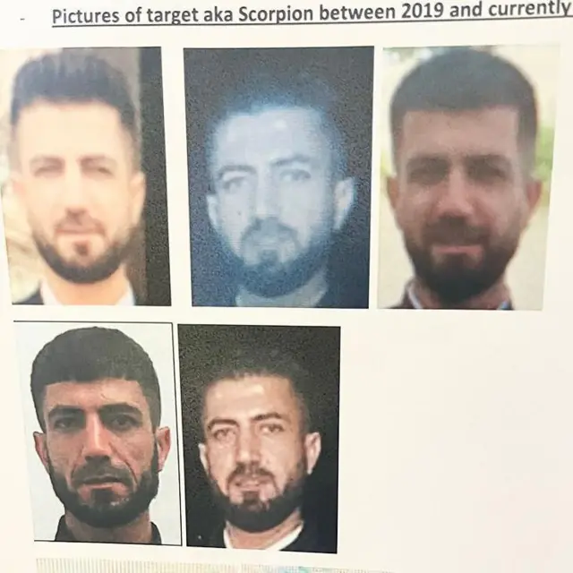 స్కార్పియన్ ఫోటోలు 