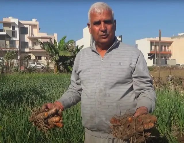 ખેતી, હરિયાણા, દૂધી, ખેડૂત, કિચન ગાર્ડન, બીબીસી ગુજરાતી