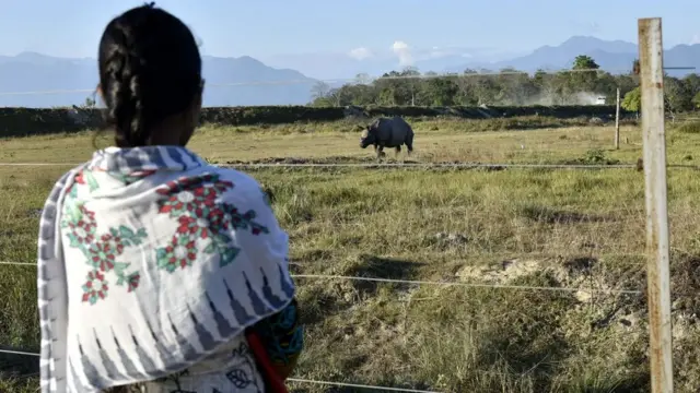 முன்பு காண்டாமிருக வேட்டைக்காரர்கள், இன்று பாதுகாவலர்கள்: அதிரடி மாற்றம் நடந்தது எப்படி?