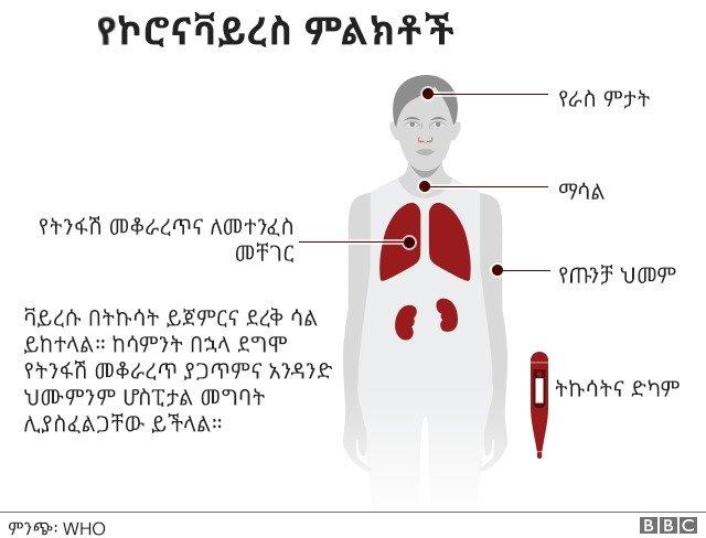 ኮሮናቫይረስን በተመለከተ ከሚሰራጩ ሃሰተኛ መረጃዎች እንዴት እራስዎችን መጠበቅ ይችላሉ? - BBC News አማርኛ