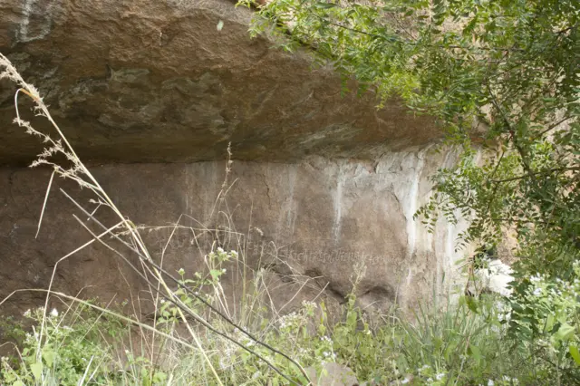 தமிழர் வரலாறு