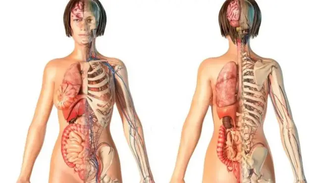 Les âges ne s'excluent pas mutuellement : une personne peut être classée dans deux ou plusieurs âges