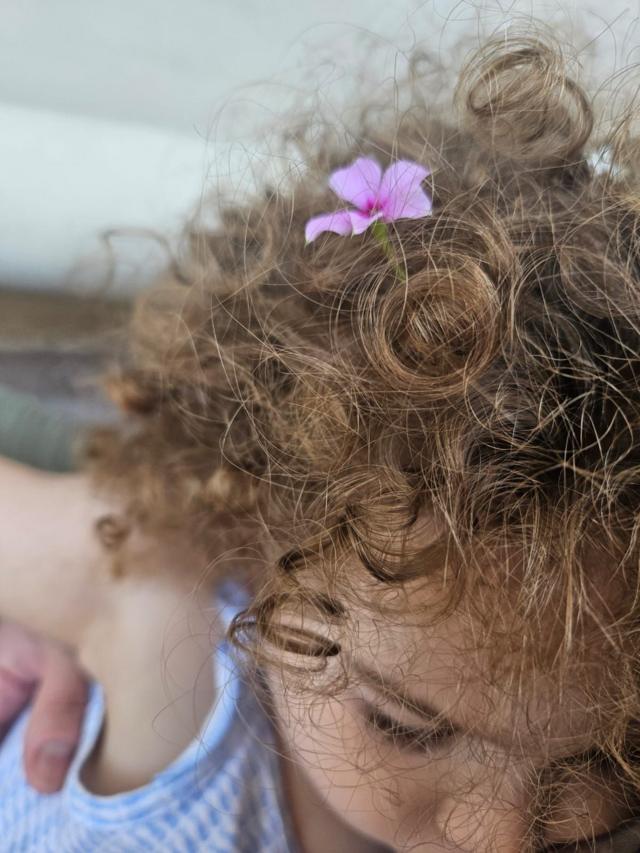 Os cachosminijogos onlineManuela, filhaminijogos onlineWeruska