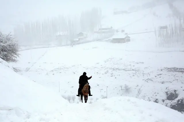 Козлодрание