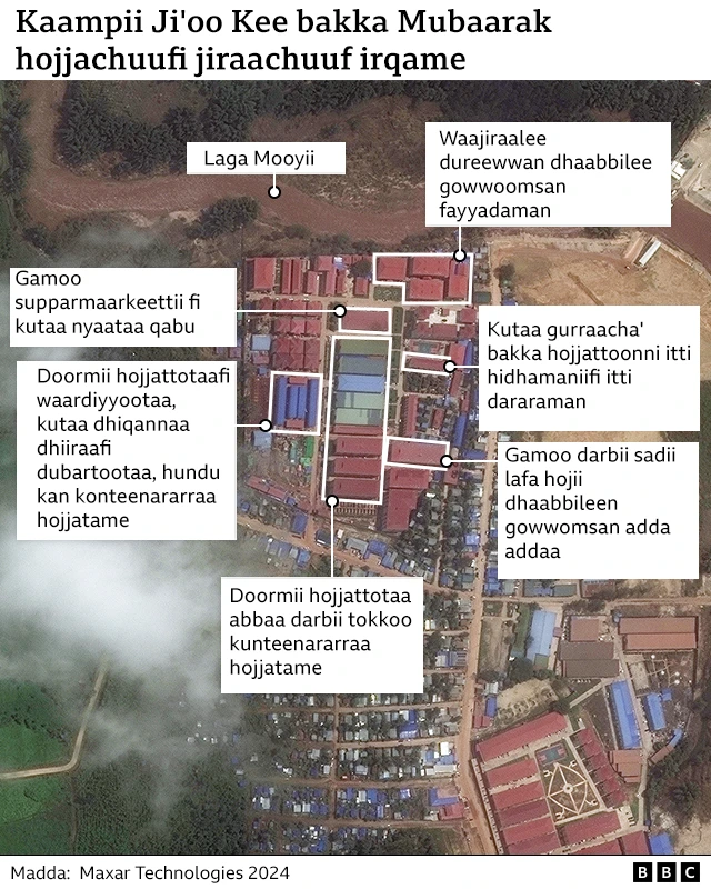 Kaampiiwwan namoonni humnaan keessatti hojjiisiifaman