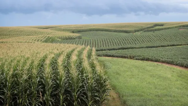 விவசாயிகளுக்கு உதவிய டிரம்ப்