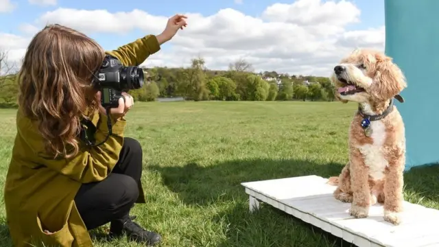 Stand de perros en la Feria de Arte Asequible