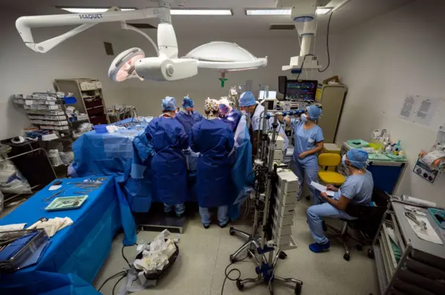 Ерлі-зайыптыларға арналған секс