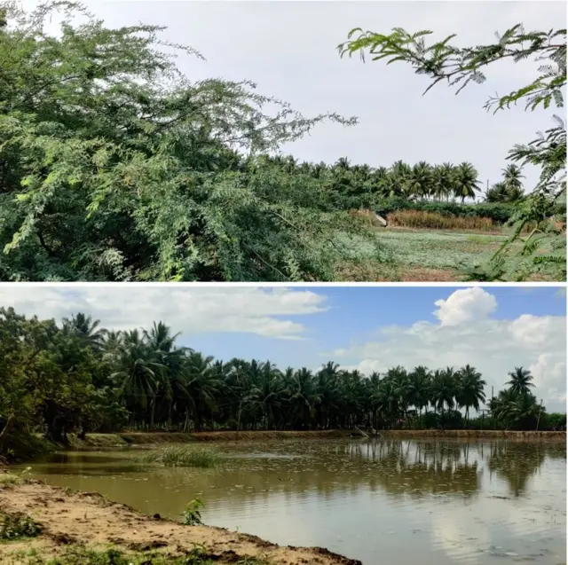 நிமல் ராகவன்