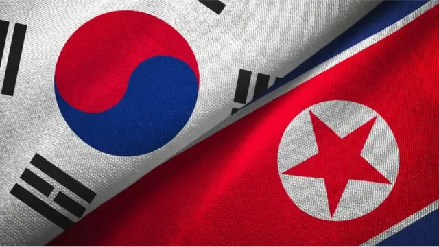 Korean flags