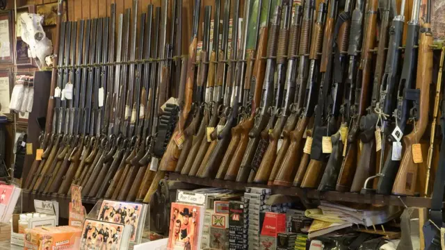 وسلې امریکا کې