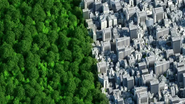 Imagen que muestra a un lado un bosque y al otro una ciudad