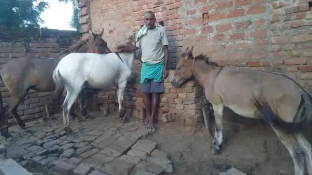 ददन यांच्याकडे आता तीन गाढवं उरली आहेत.